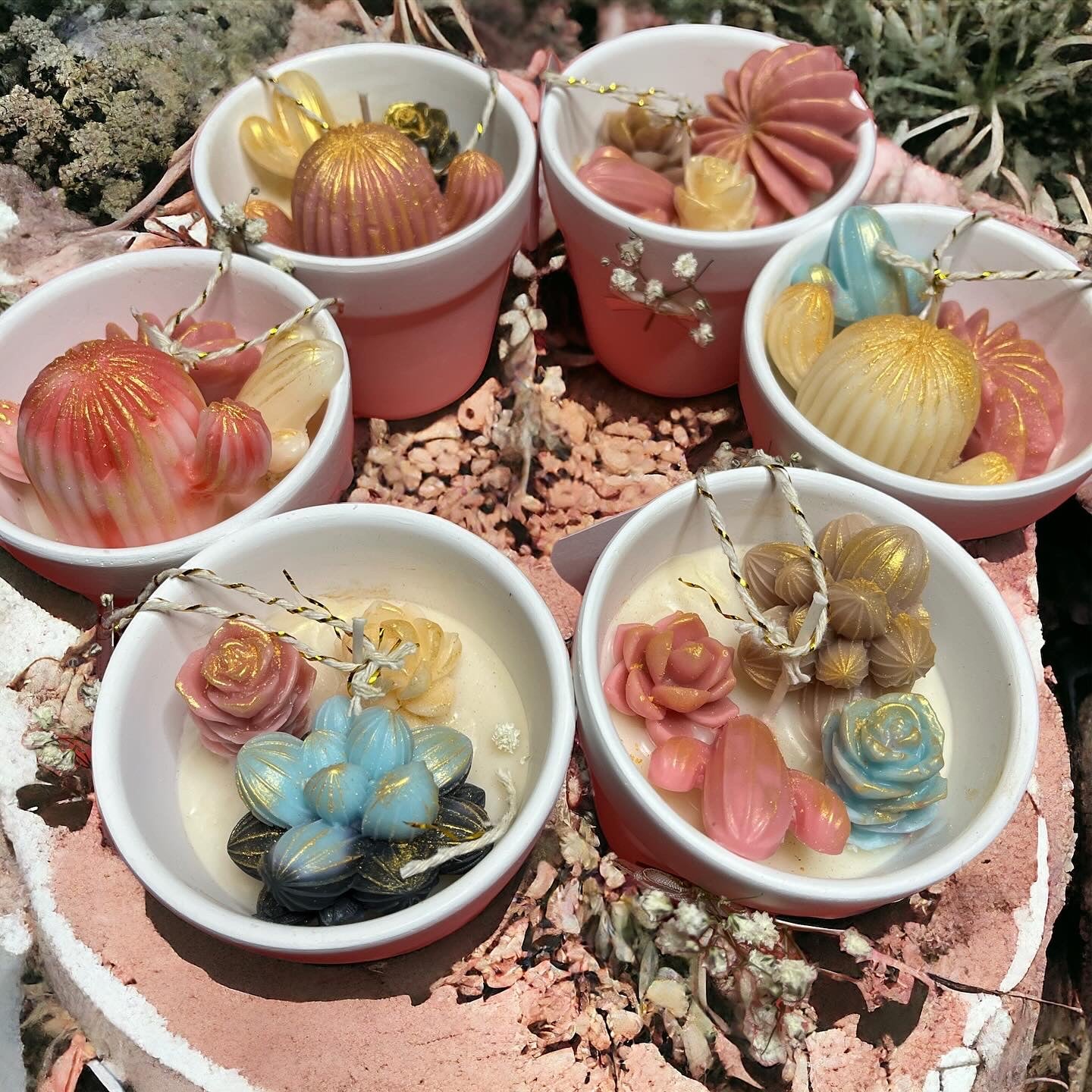 Succulent Planter