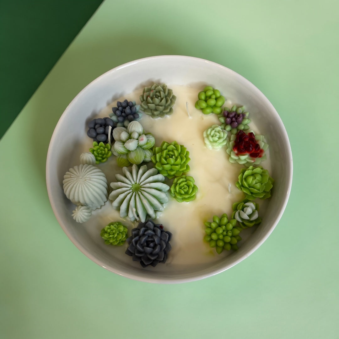 Succulent Bowl